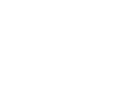 La Fresque du Numérique